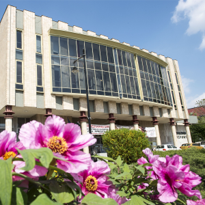 Számos fejlesztés valósult meg 2025-ben a Kecskeméti Hírös Agórában